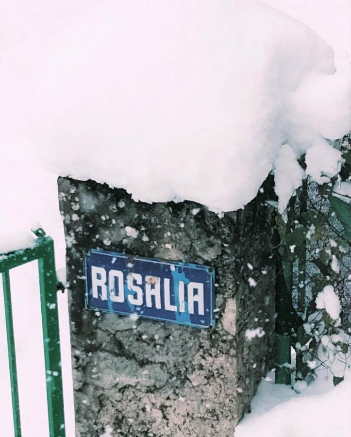 Villa Rosalia Villanúa Eksteriør bilde
